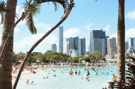 people on beach during daytime