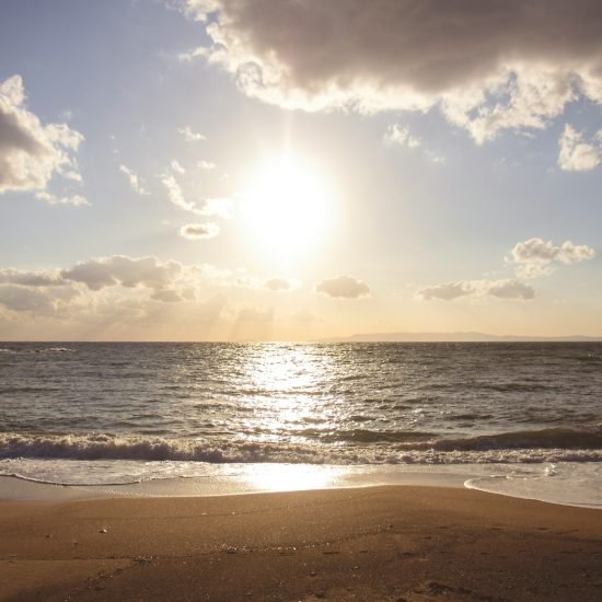 landscape photography of seashore during daytime